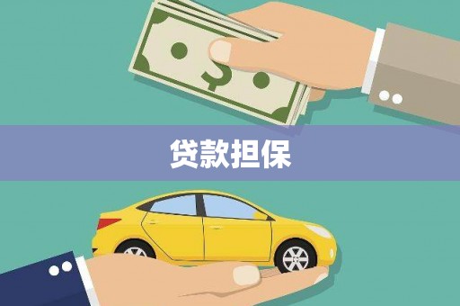 忠县贷款担保