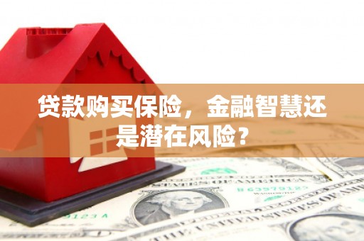 忠县贷款购买保险，金融智慧还是潜在风险？
