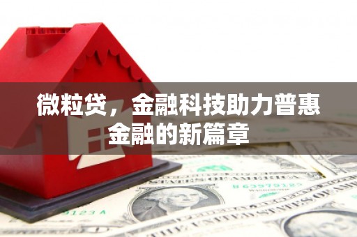 忠县微粒贷，金融科技助力普惠金融的新篇章