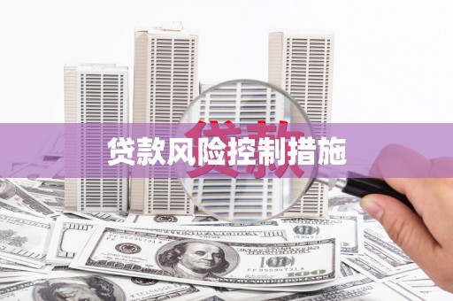 忠县贷款风险控制措施
