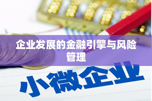 忠县企业发展的金融引擎与风险管理