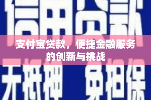 忠县支付宝贷款，便捷金融服务的创新与挑战