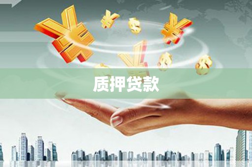 忠县质押贷款
