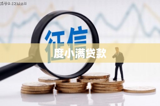 忠县度小满贷款