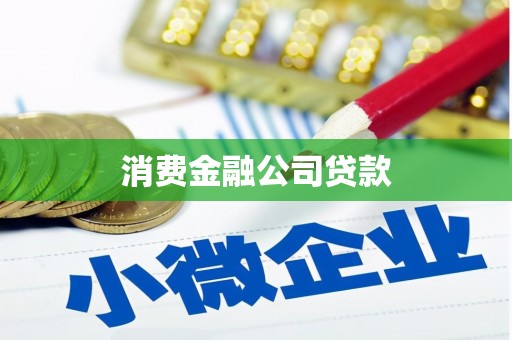 忠县消费金融公司贷款
