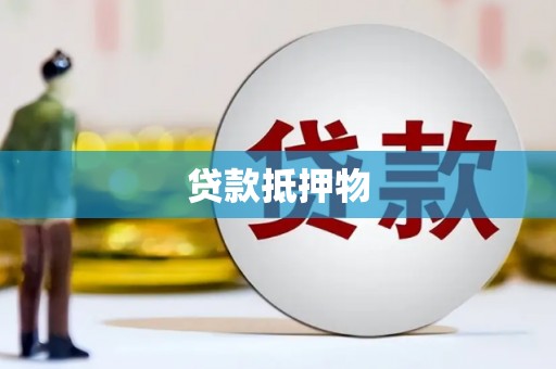 忠县贷款抵押物