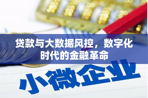 忠县贷款与大数据风控，数字化时代的金融革命