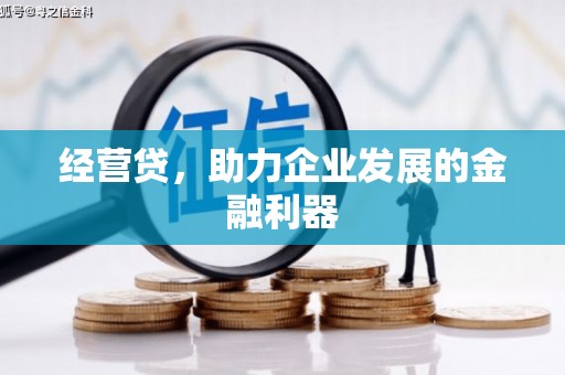忠县经营贷，助力企业发展的金融利器