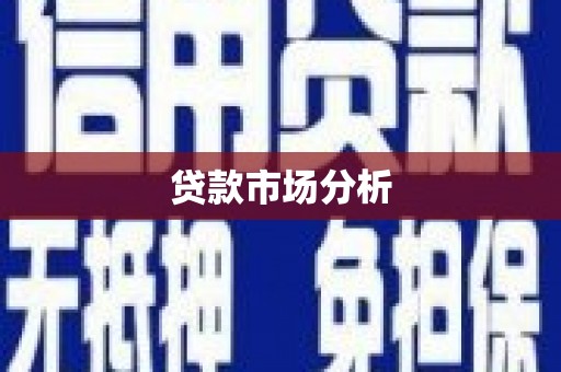 忠县贷款市场分析