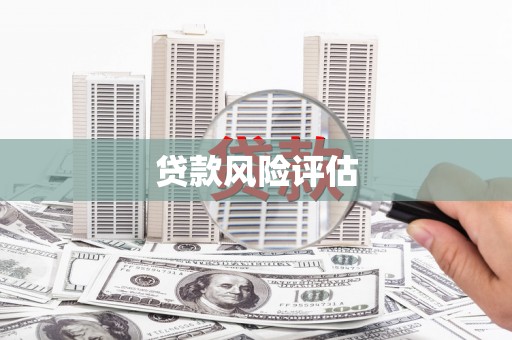 忠县贷款风险评估