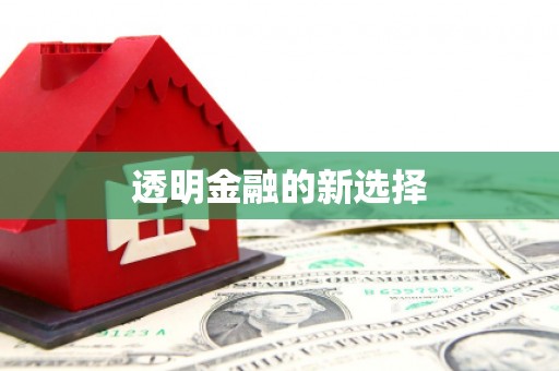 忠县透明金融的新选择