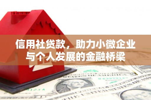 忠县信用社贷款，助力小微企业与个人发展的金融桥梁