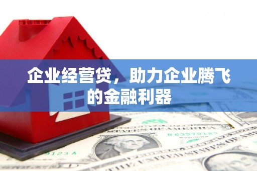 忠县企业经营贷，助力企业腾飞的金融利器