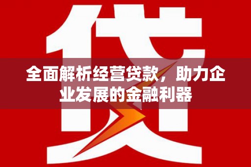 忠县全面解析经营贷款，助力企业发展的金融利器