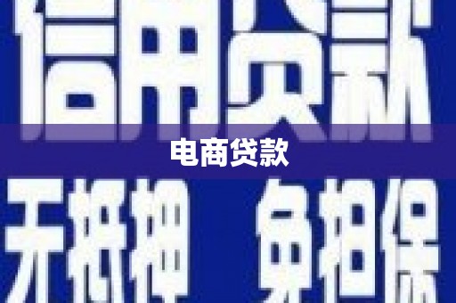 忠县电商贷款