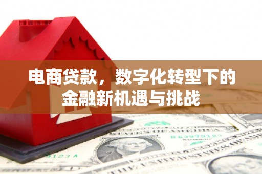 忠县电商贷款，数字化转型下的金融新机遇与挑战