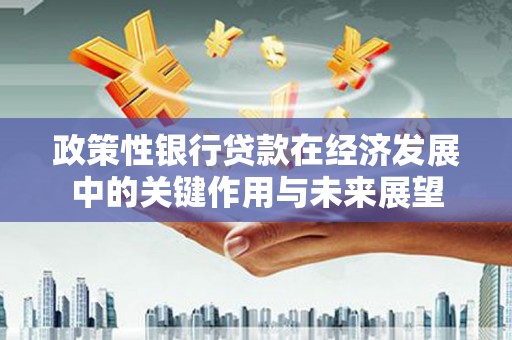 忠县政策性银行贷款在经济发展中的关键作用与未来展望