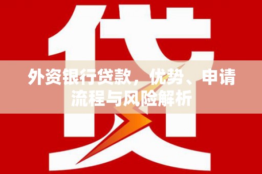 忠县外资银行贷款，优势、申请流程与风险解析