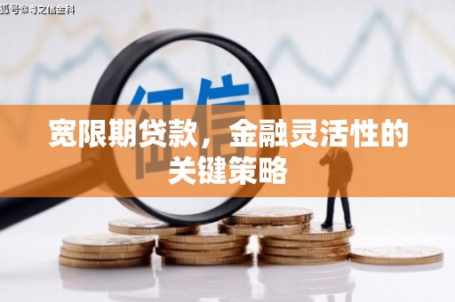 忠县宽限期贷款，金融灵活性的关键策略