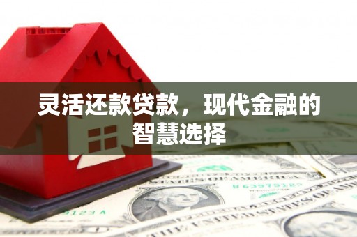 忠县灵活还款贷款，现代金融的智慧选择