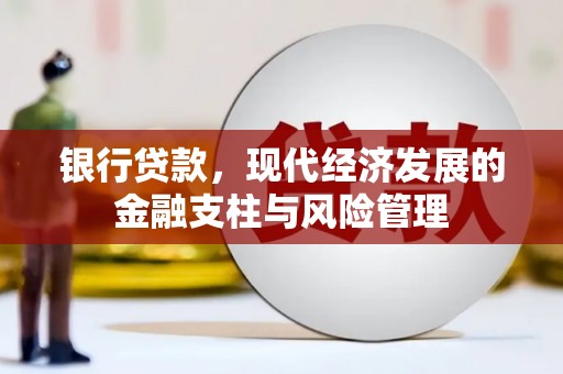 忠县银行贷款，现代经济发展的金融支柱与风险管理