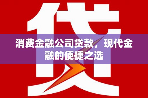 忠县消费金融公司贷款，现代金融的便捷之选