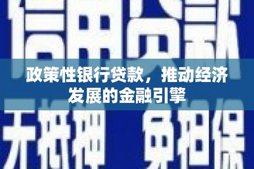 忠县政策性银行贷款，推动经济发展的金融引擎