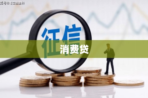 忠县消费贷