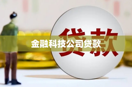忠县金融科技公司贷款