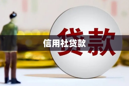 忠县信用社贷款