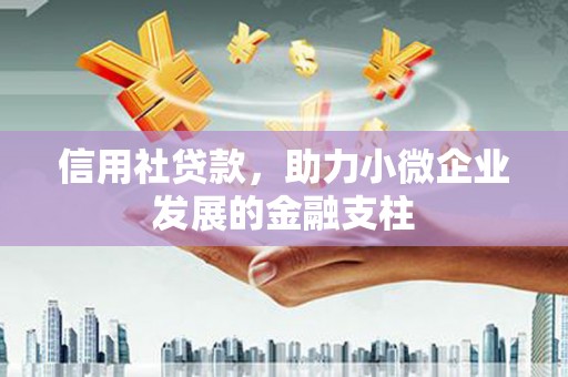 忠县信用社贷款，助力小微企业发展的金融支柱