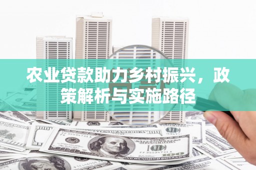 忠县农业贷款助力乡村振兴，政策解析与实施路径