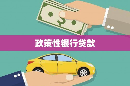 忠县政策性银行贷款