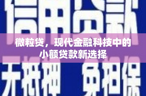 忠县微粒贷，现代金融科技中的小额贷款新选择