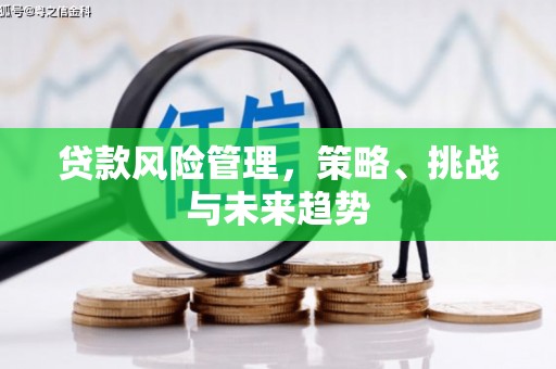 忠县贷款风险管理，策略、挑战与未来趋势