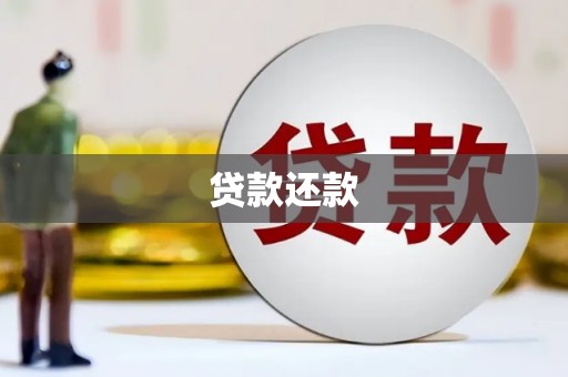 忠县贷款还款
