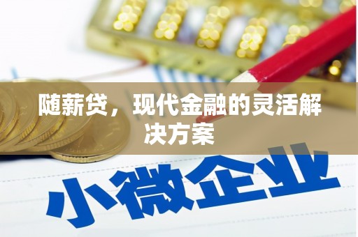 忠县随薪贷，现代金融的灵活解决方案