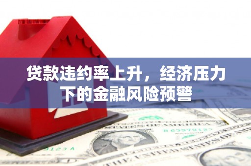 忠县贷款违约率上升，经济压力下的金融风险预警