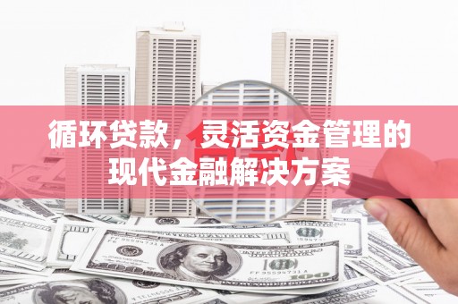 忠县循环贷款，灵活资金管理的现代金融解决方案