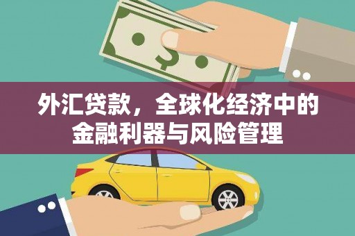 忠县外汇贷款，全球化经济中的金融利器与风险管理