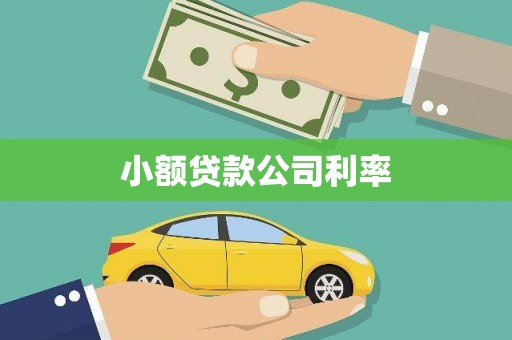 忠县小额贷款公司利率