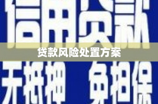 忠县贷款风险处置方案