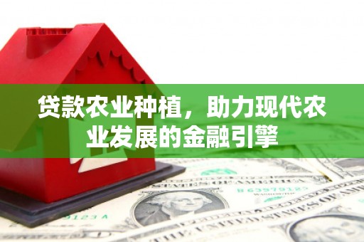 忠县贷款农业种植，助力现代农业发展的金融引擎