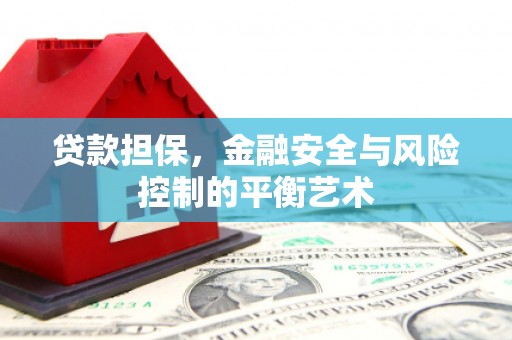 忠县贷款担保，金融安全与风险控制的平衡艺术