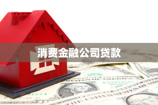 忠县消费金融公司贷款
