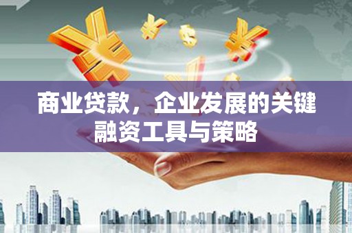 忠县商业贷款，企业发展的关键融资工具与策略