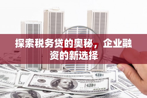 忠县探索税务贷的奥秘，企业融资的新选择