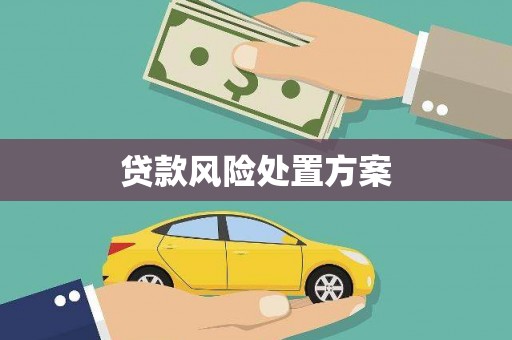 忠县贷款风险处置方案
