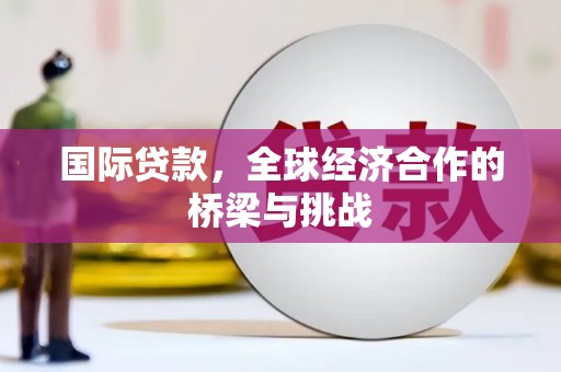 忠县国际贷款，全球经济合作的桥梁与挑战