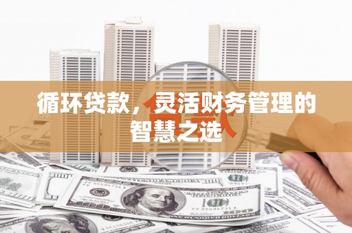 忠县循环贷款，灵活财务管理的智慧之选
